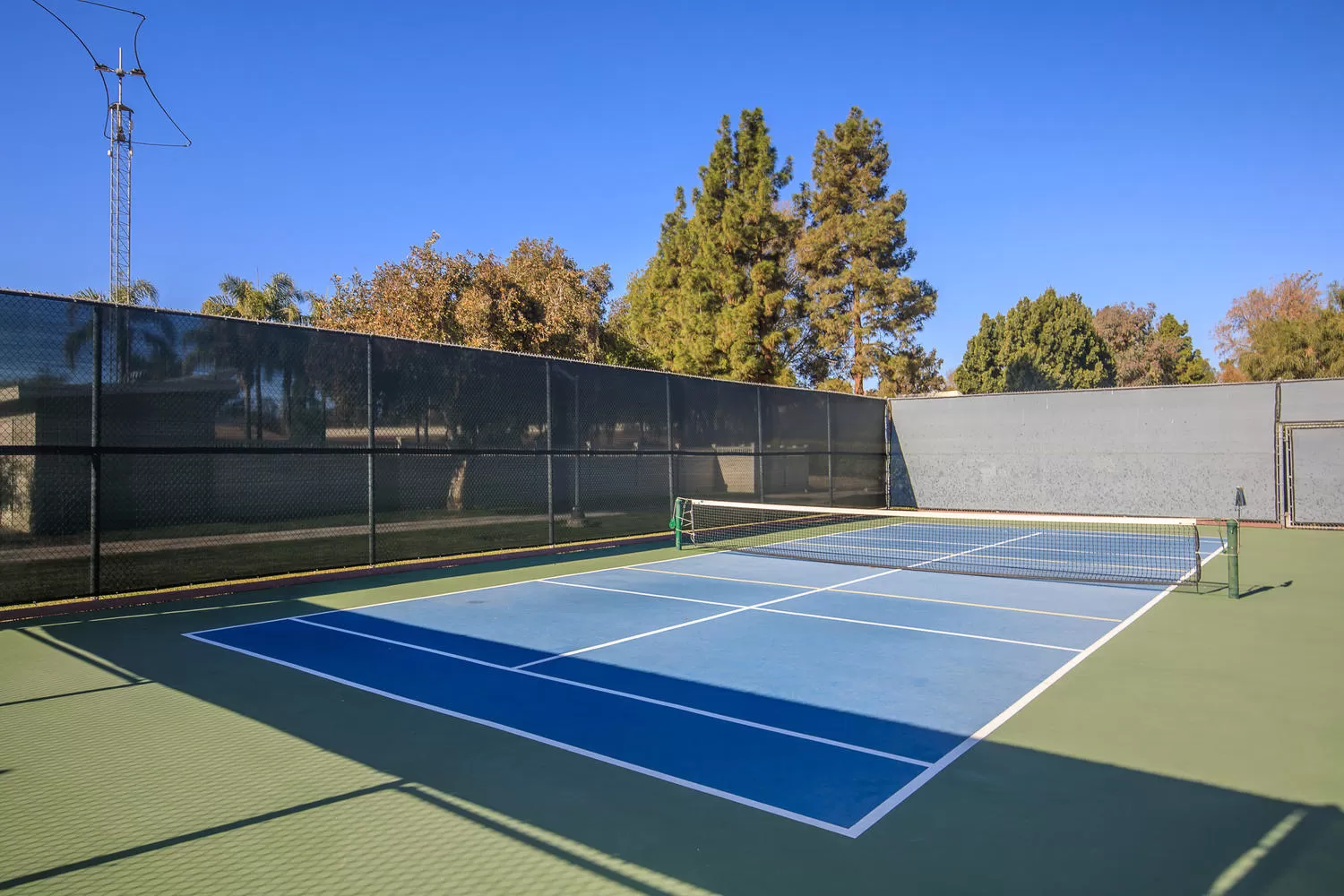Tennis and Pickleball