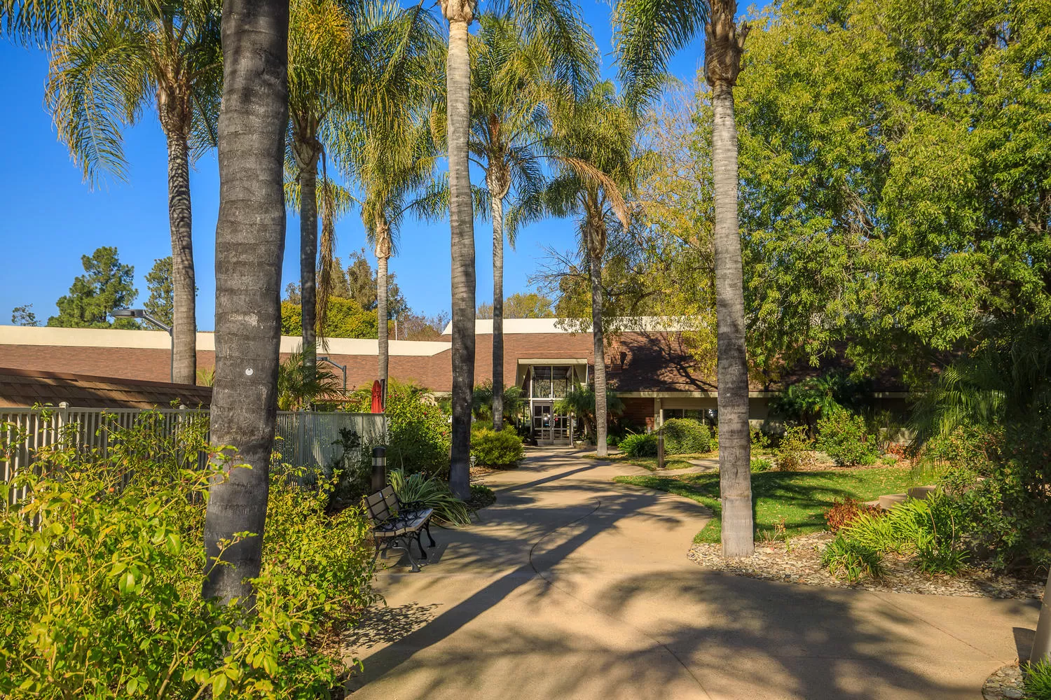 Walking Paths