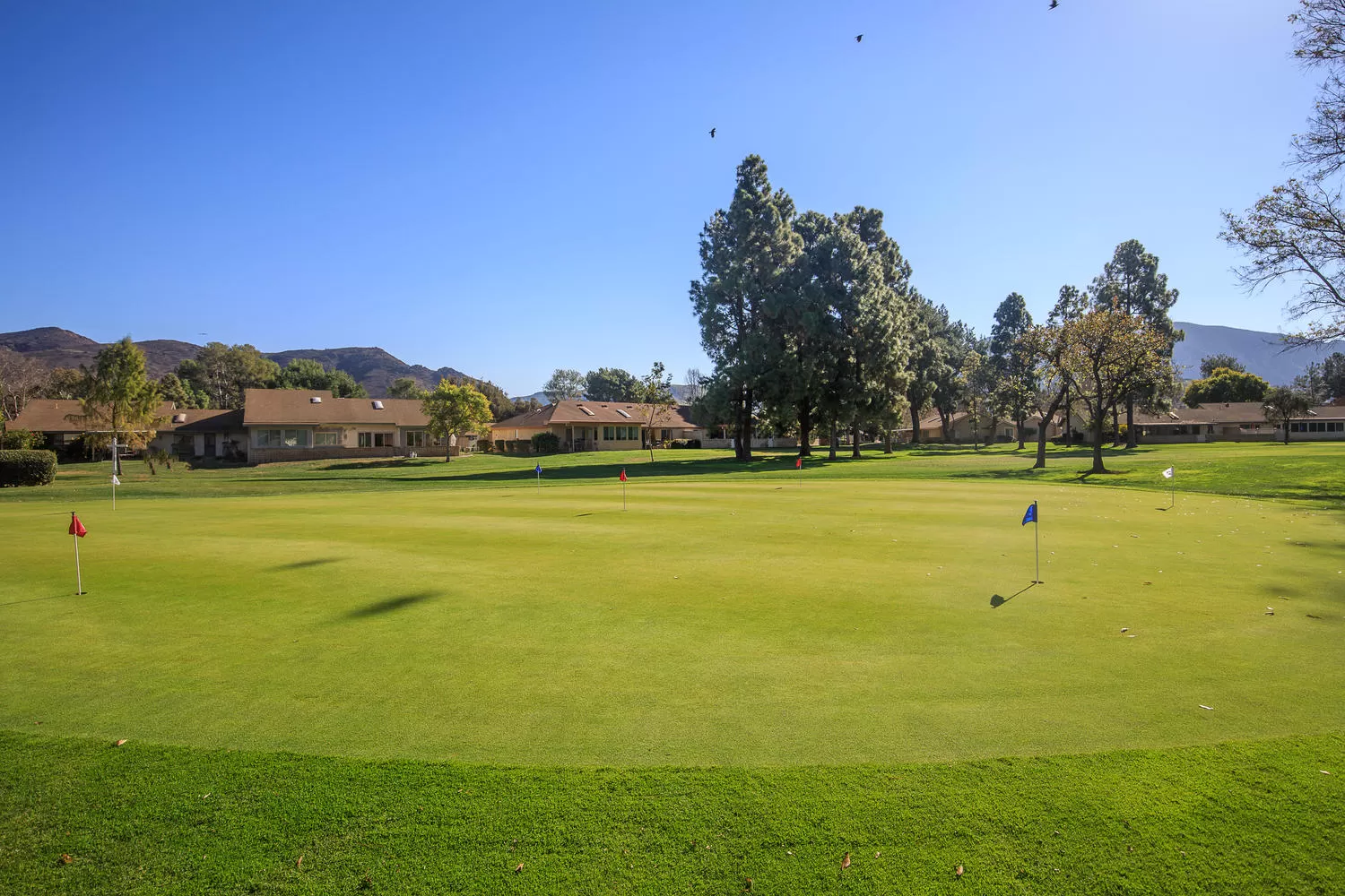 Golf Course