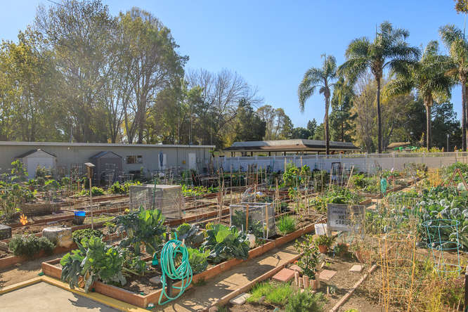Farmer's Garden