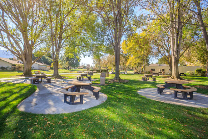 Community Park